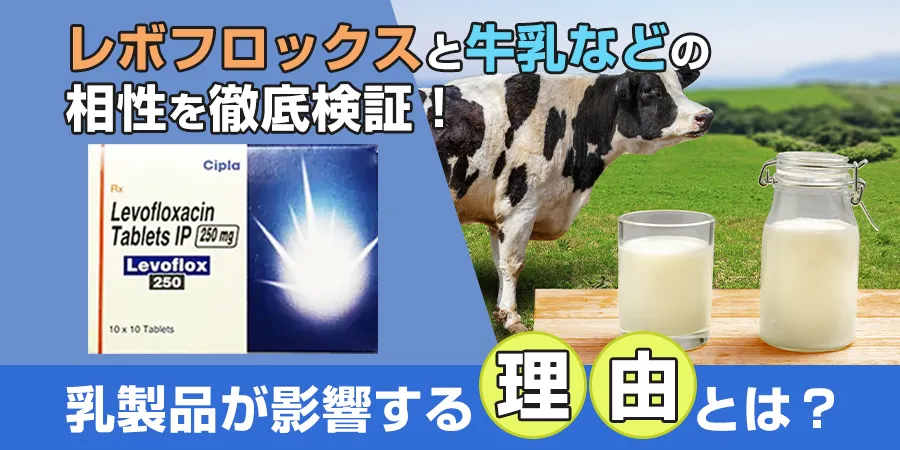 レボフロックスと牛乳などの相性を徹底検証！乳製品が影響する理由とは？