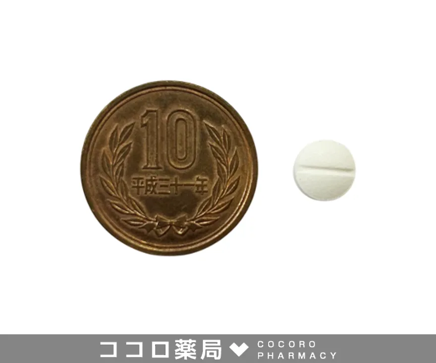 カーボダス6