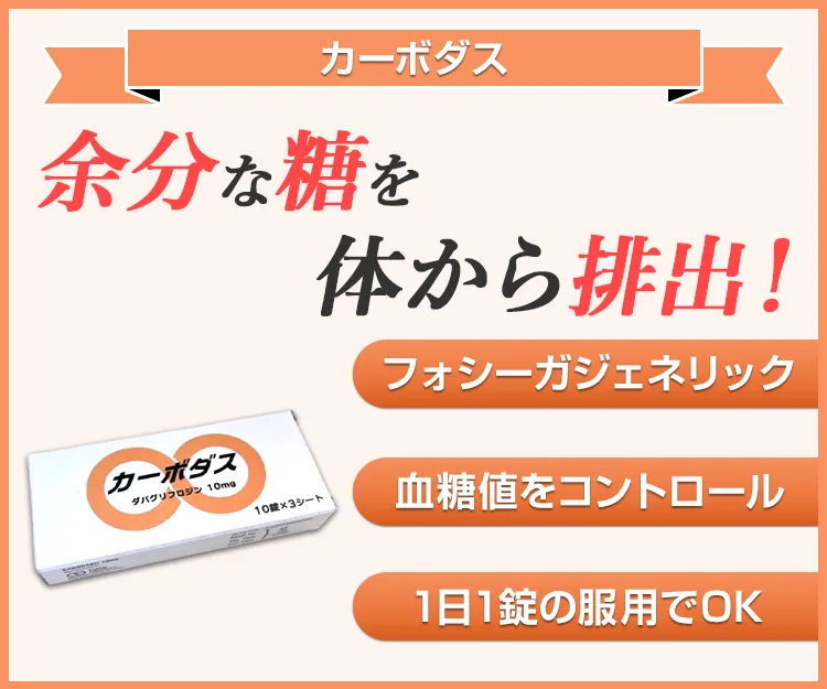 カーボダス8