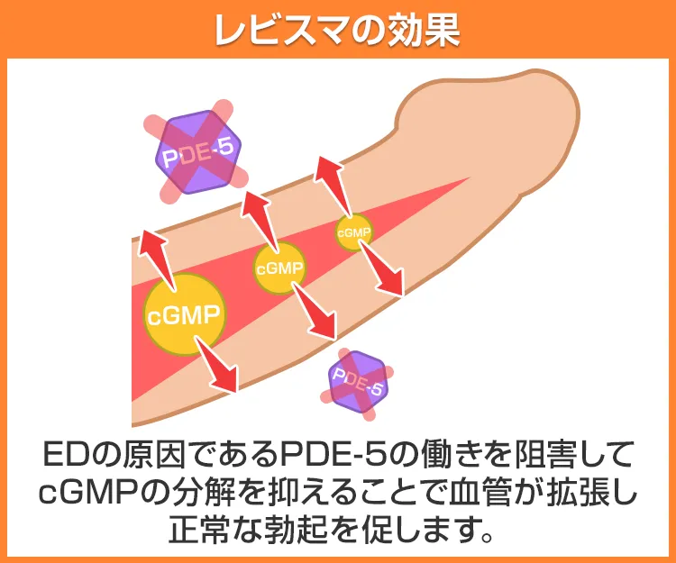 レビスマ3