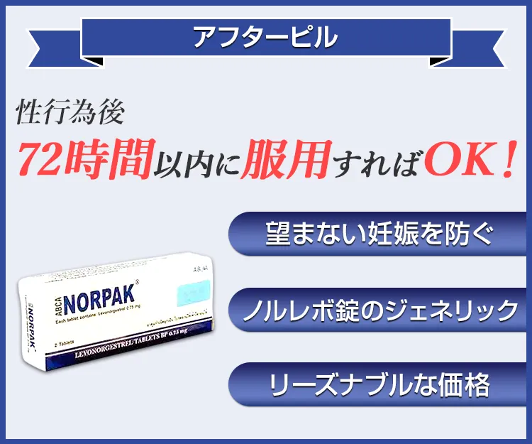 ノルパック4