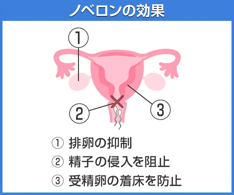 ノベロン6