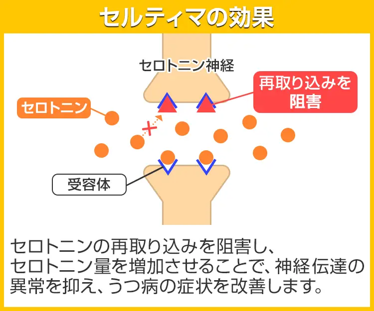 セルティマ5