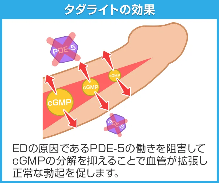タダライト7
