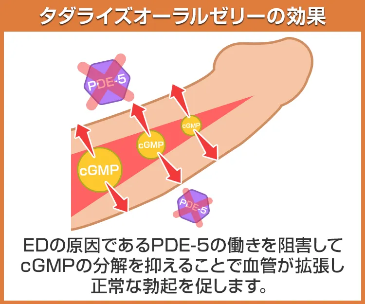 タダライズオーラルゼリー3