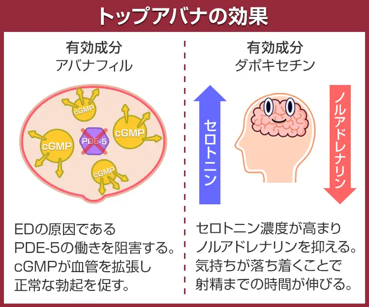 トップアバナ6