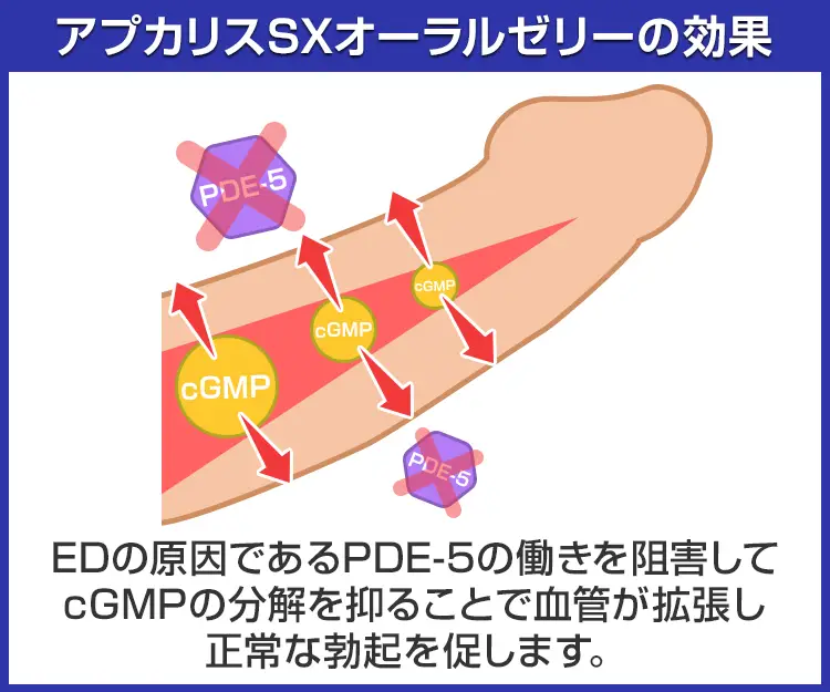 アプカリスSXオーラルゼリー6