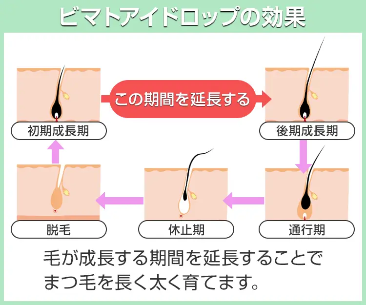 ビマトアイドロップ4