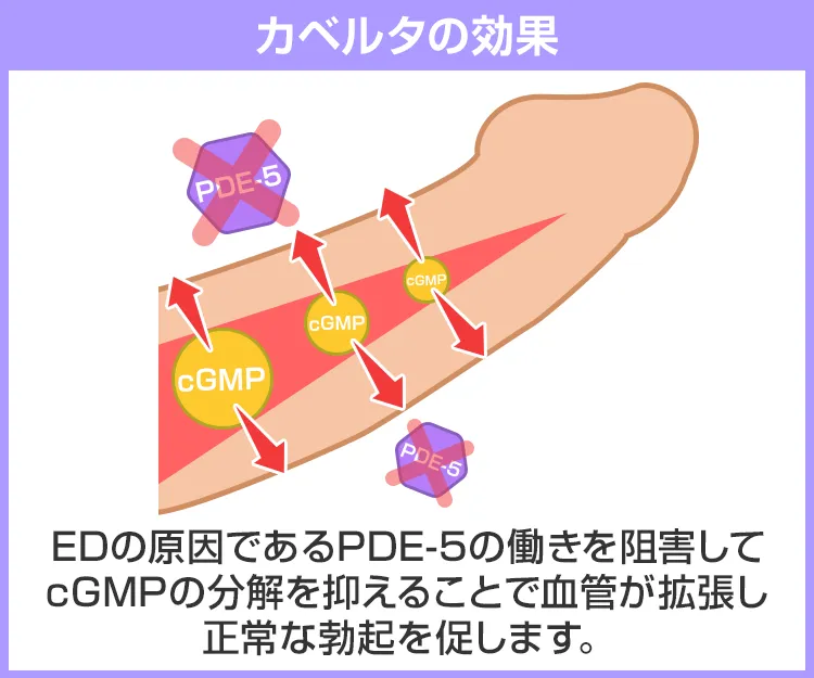 カベルタ6