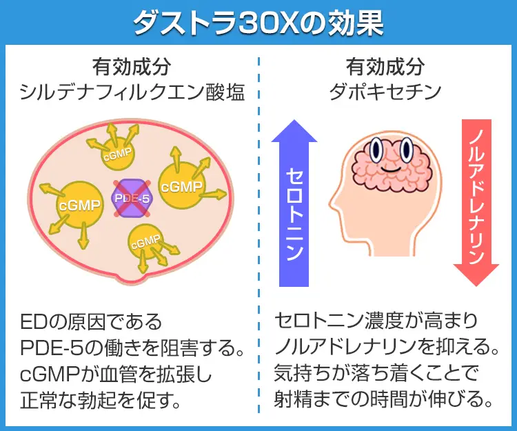 ダストラ30X3