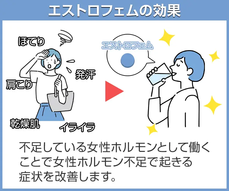 エストロフェム5