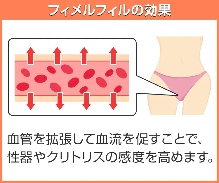 フィメルフィル3
