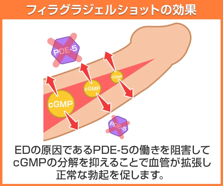 フィラグラジェルショット5
