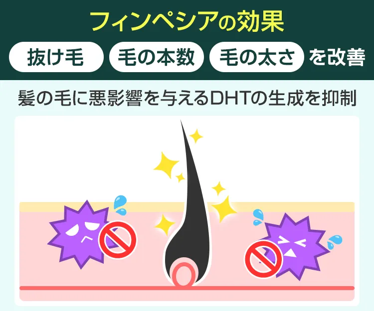 フィンペシア6