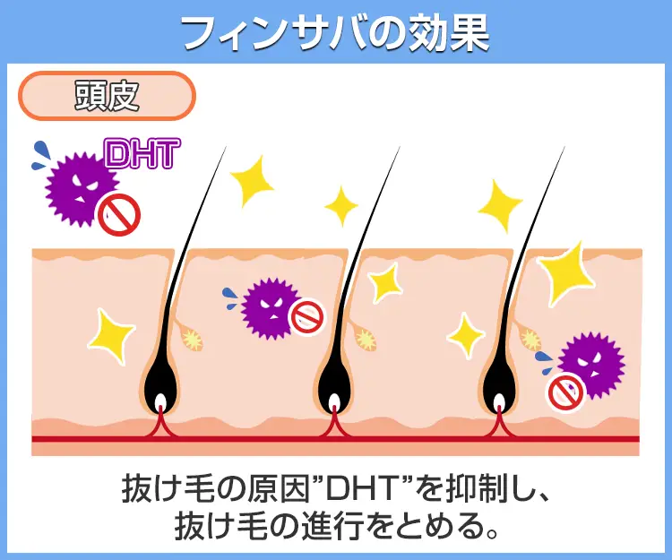 フィンサバ6