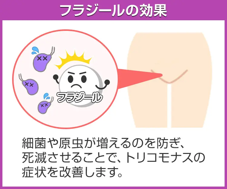 フラジール3
