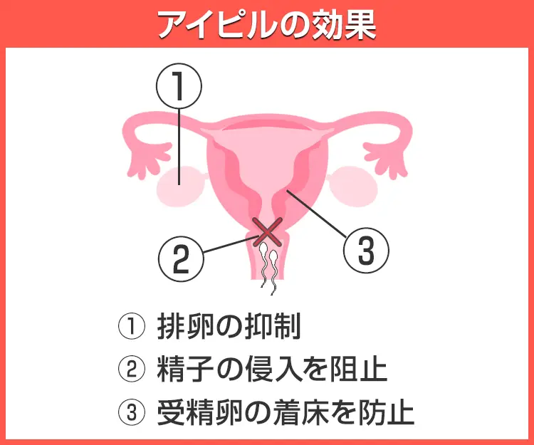 アイピル6
