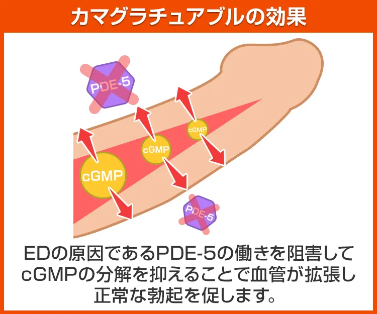 カマグラチュアブル6
