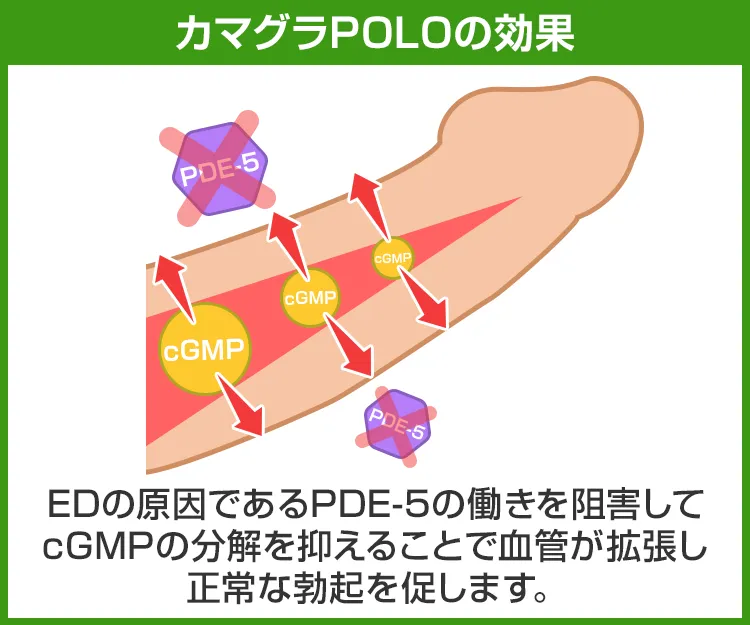 カマグラPOLO6