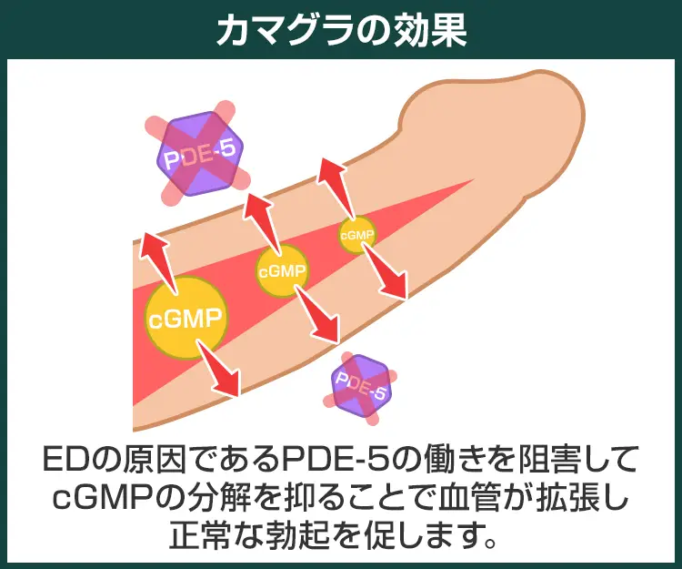 カマグラゴールド7