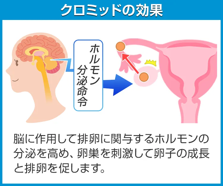 クロミッド6