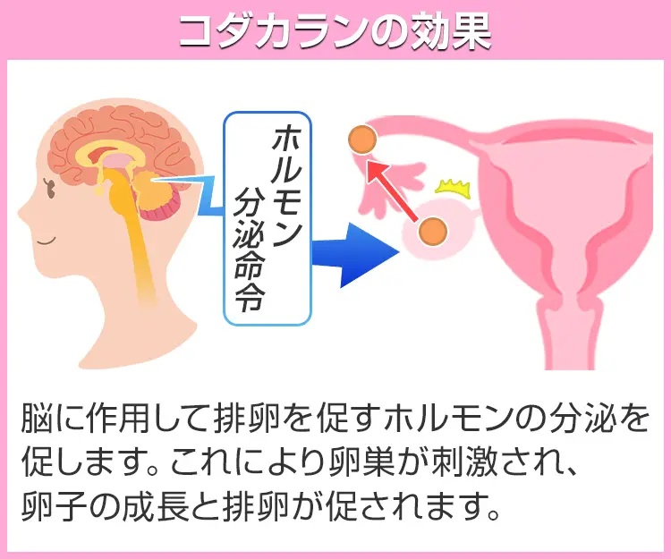 コダカラン3