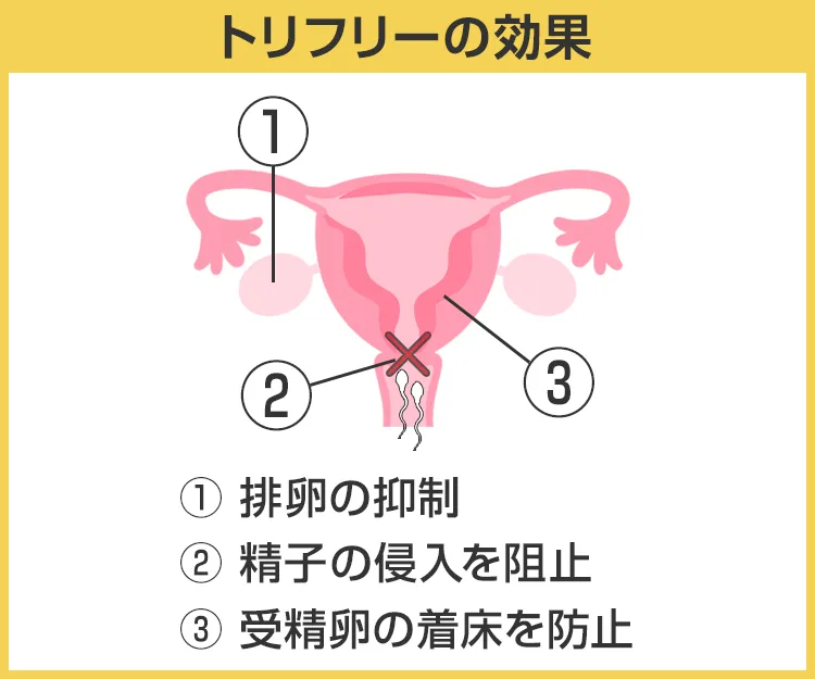 ロジノンED3