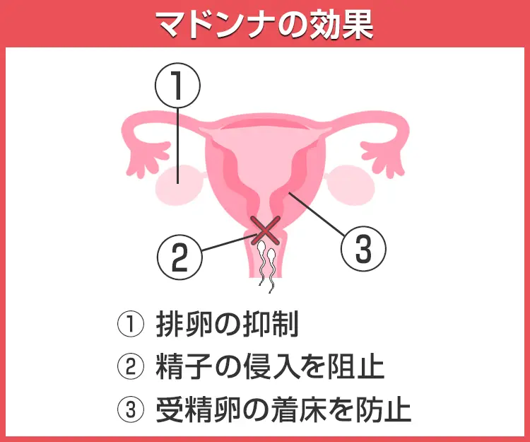 マドンナ6