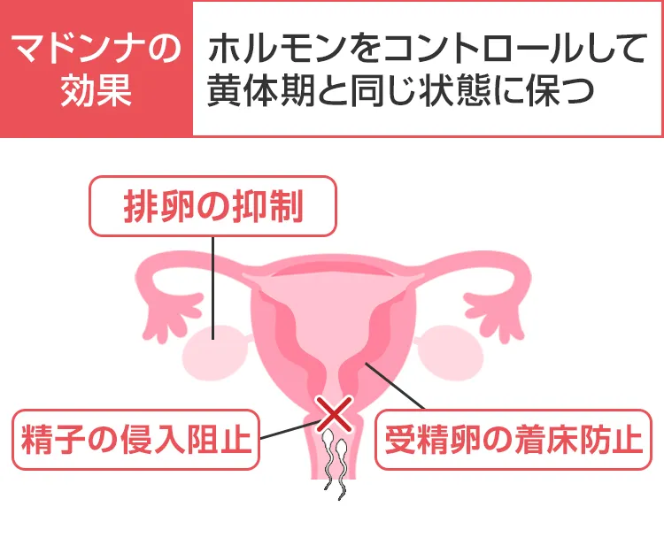 マドンナ6