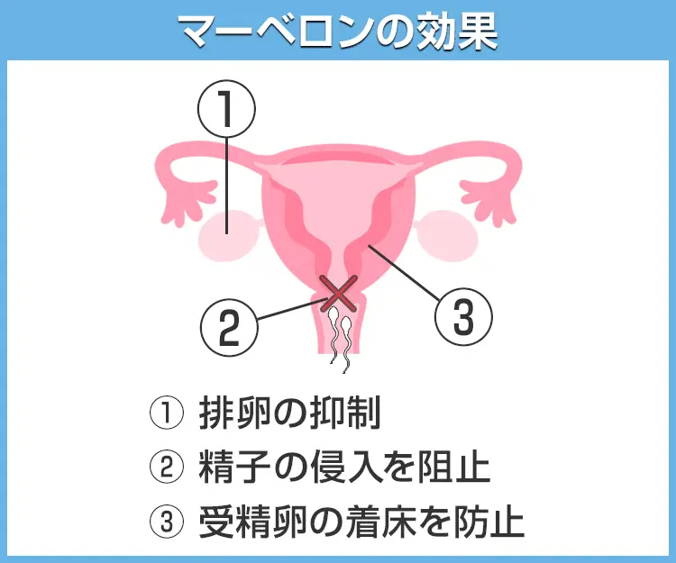 マーベロン7