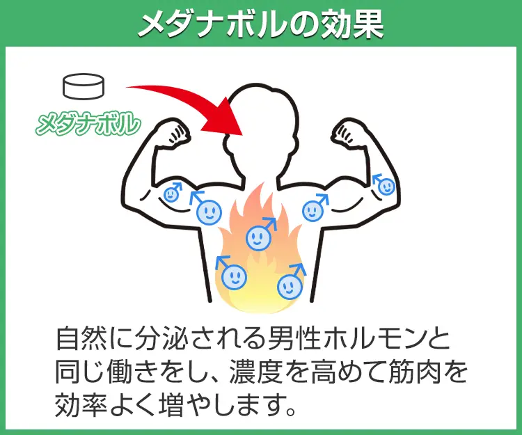 メダナボル3