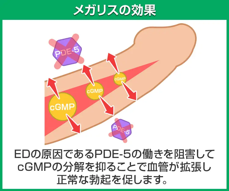 メガリス6