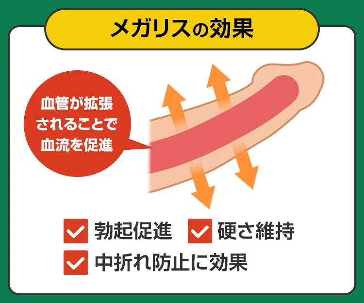 メガリス6