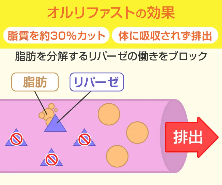 オルリファスト6