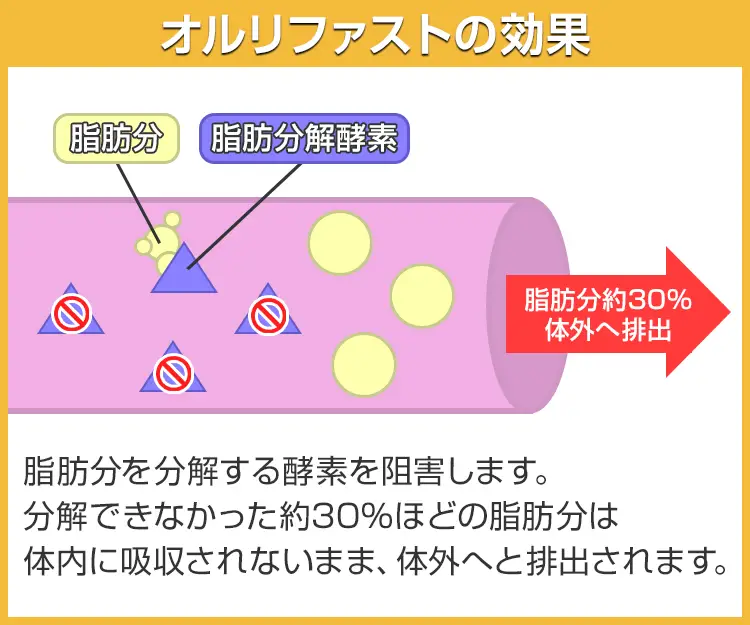 オルリファスト6