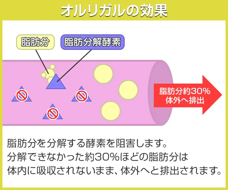オルリガル6