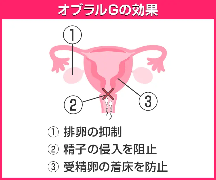 オブラルG6