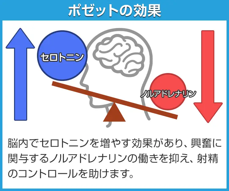ポゼット7