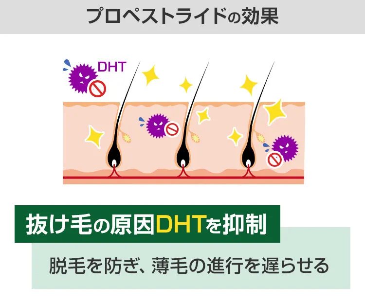 プロペストライド5