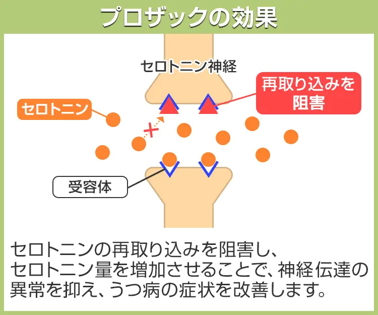 プロザック6