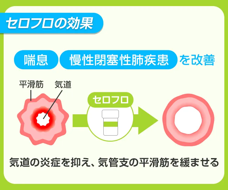 セロフロ5