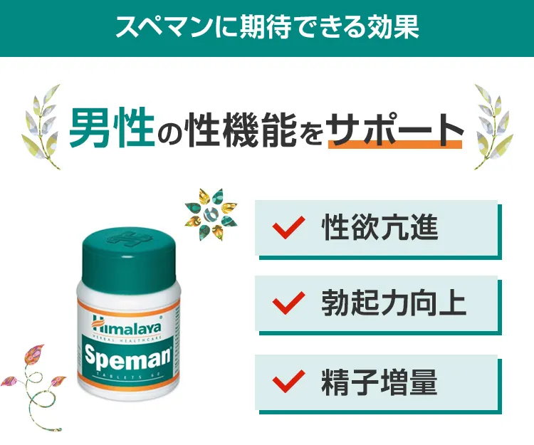 スペマン6