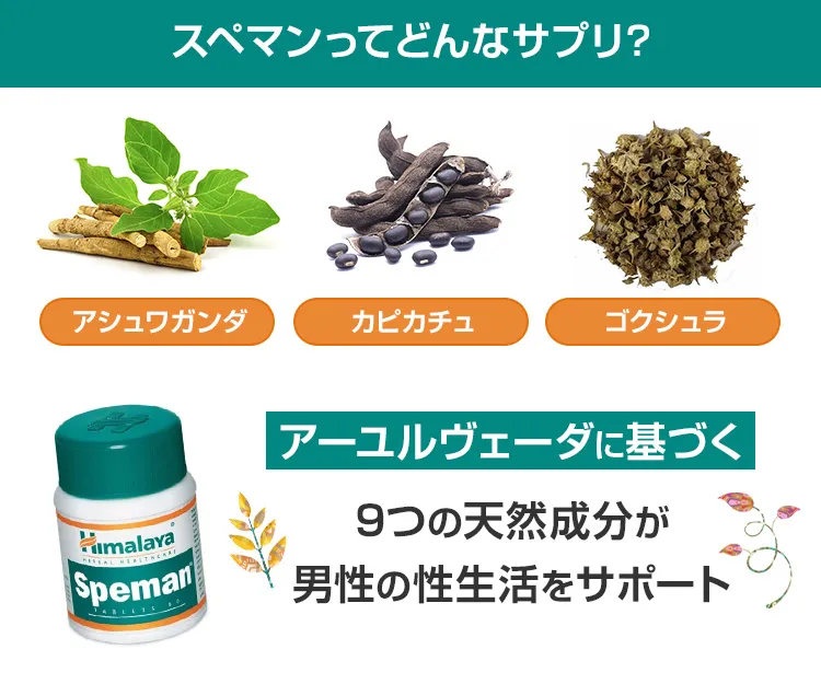 スペマン7