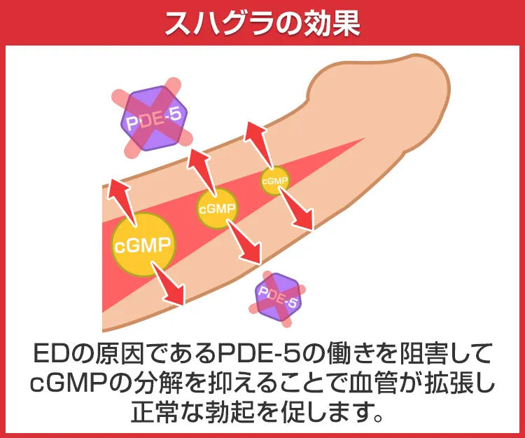 スハグラ3