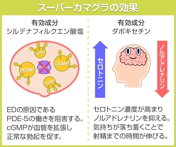 スーパーカマグラ6