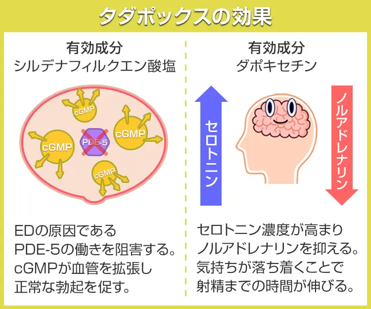 タダポックス5