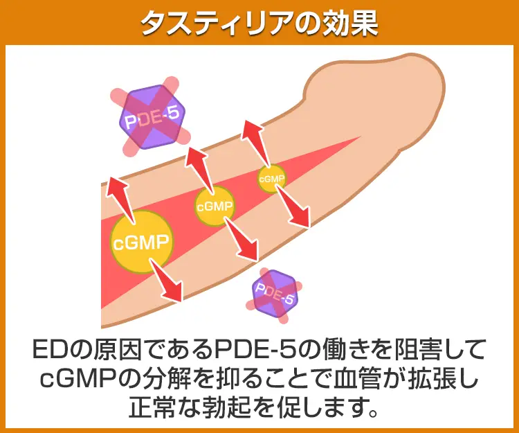 タスティリア6