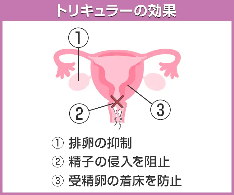 トリキュラー7