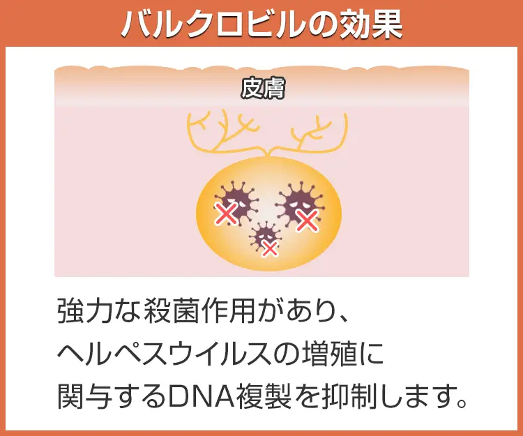 バルクロビル3