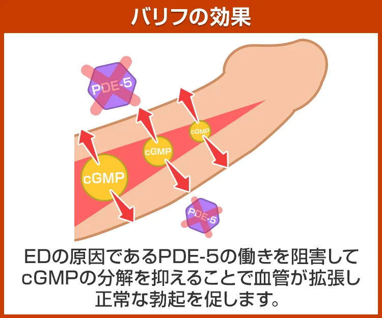 バリフ6